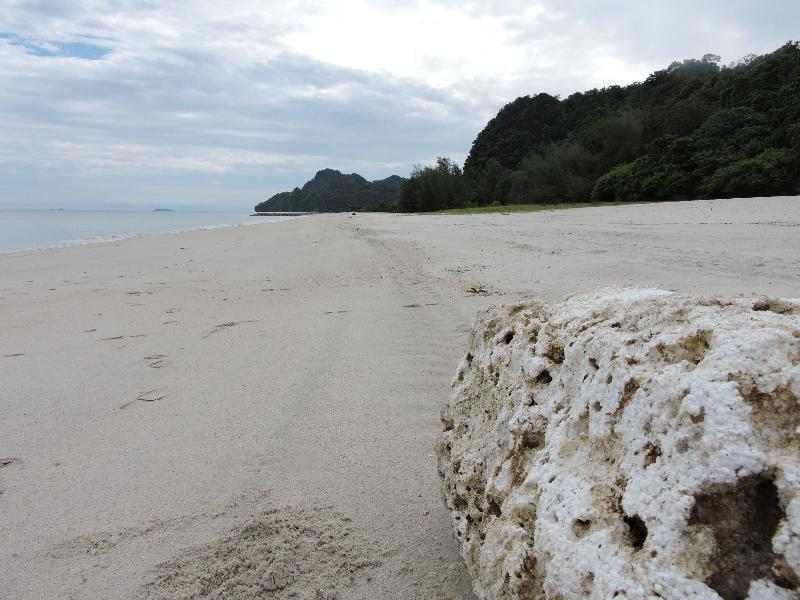 Lone Pine, Penang, A Tribute Portfolio Resort Batu Feringgi Ngoại thất bức ảnh